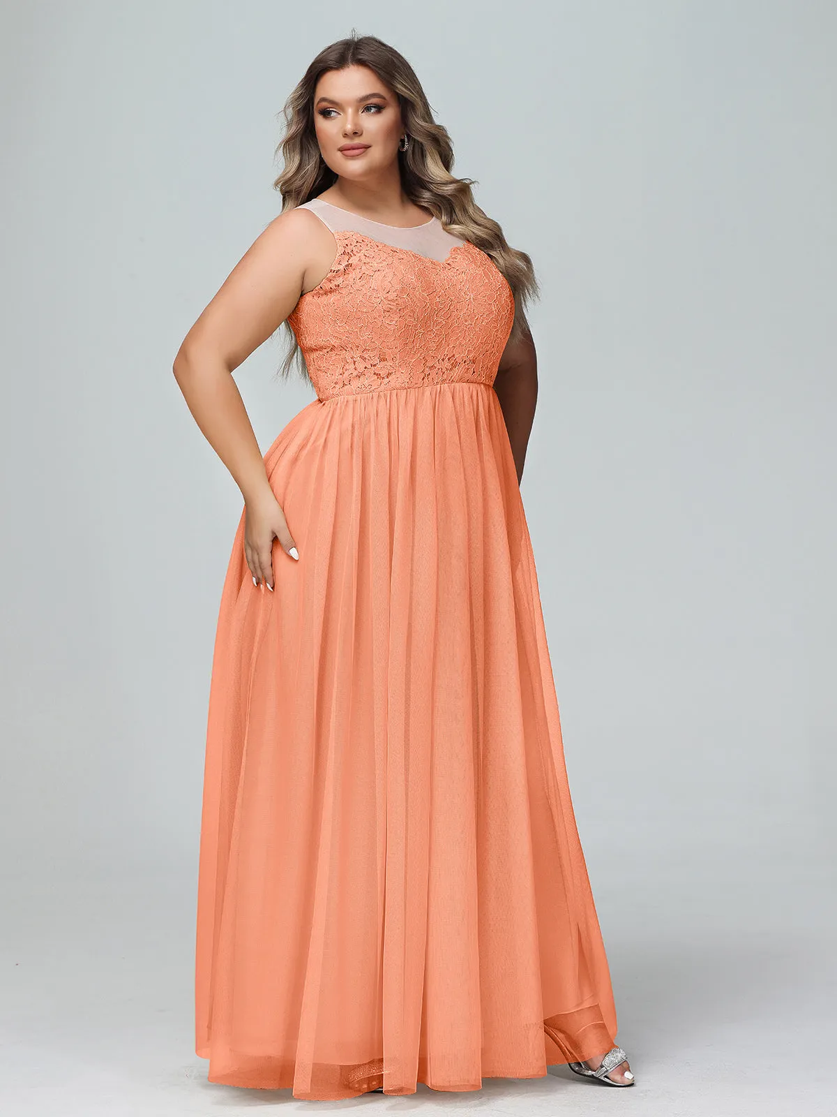 Illusion Neckline Lace and Tulle Maxi Dress-Papaya Plus Size