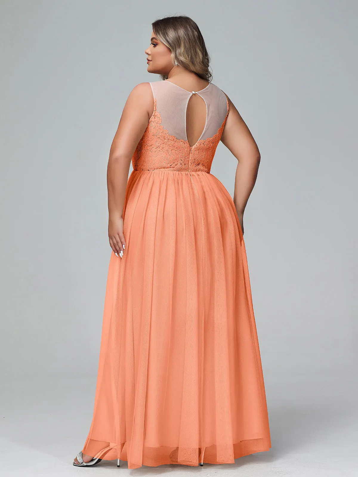 Illusion Neckline Lace and Tulle Maxi Dress-Papaya Plus Size