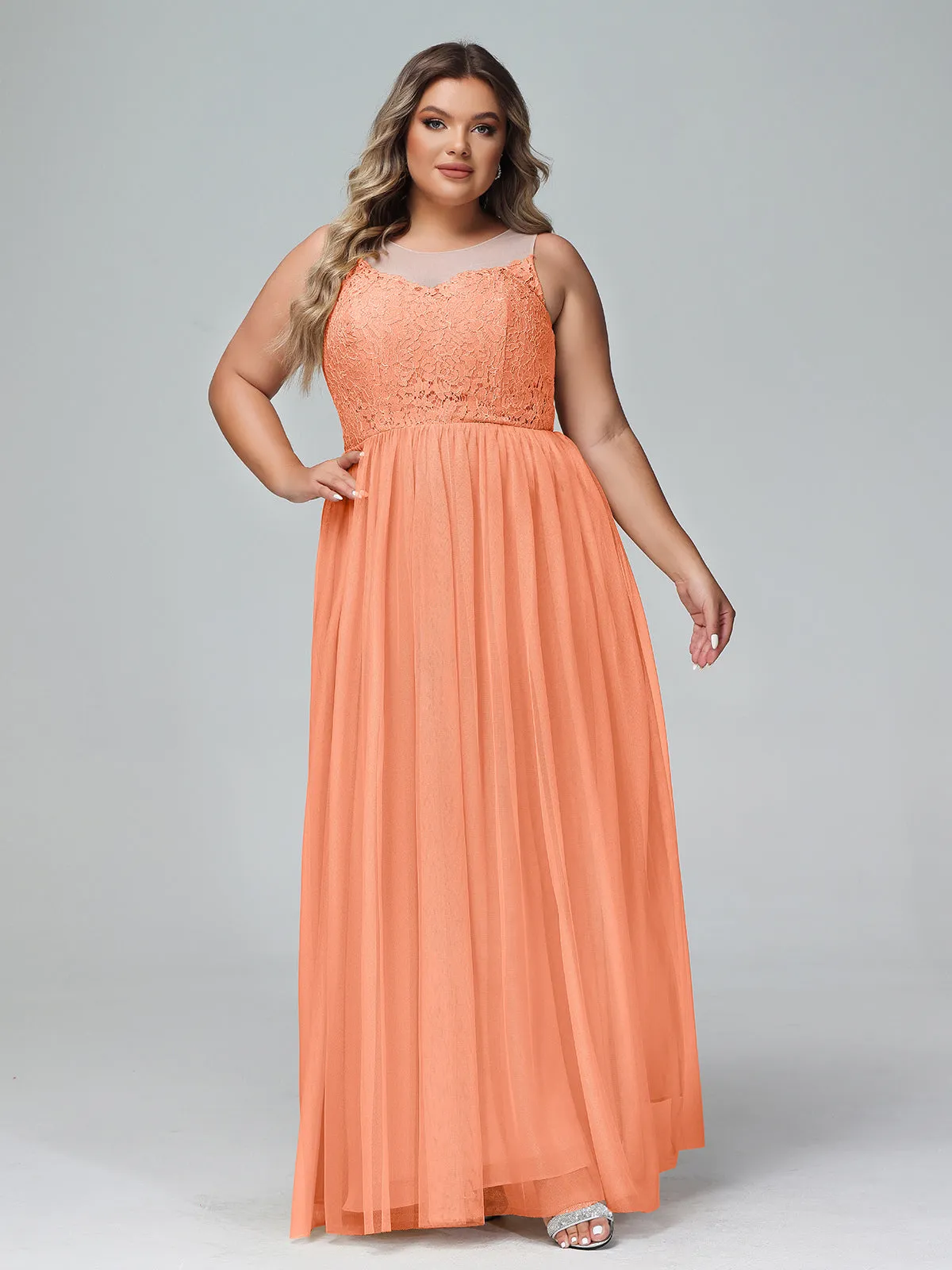 Illusion Neckline Lace and Tulle Maxi Dress-Papaya Plus Size