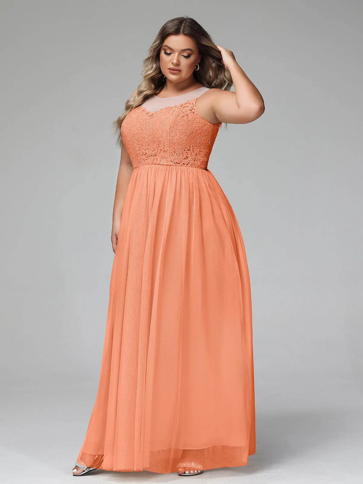 Illusion Neckline Lace and Tulle Maxi Dress-Papaya Plus Size